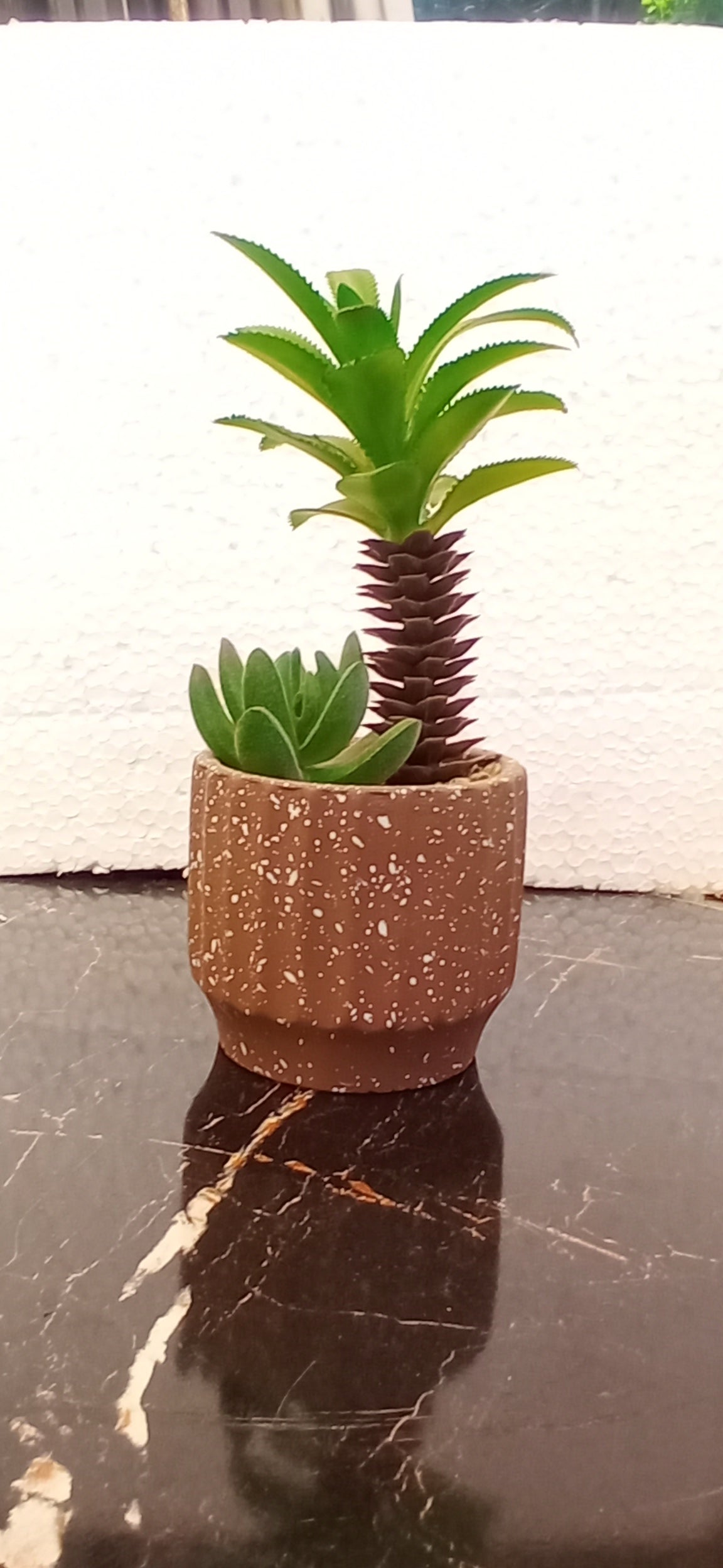 Realistic Rubber Cactus Plant in Ceramic Pot for Home & Office Decor