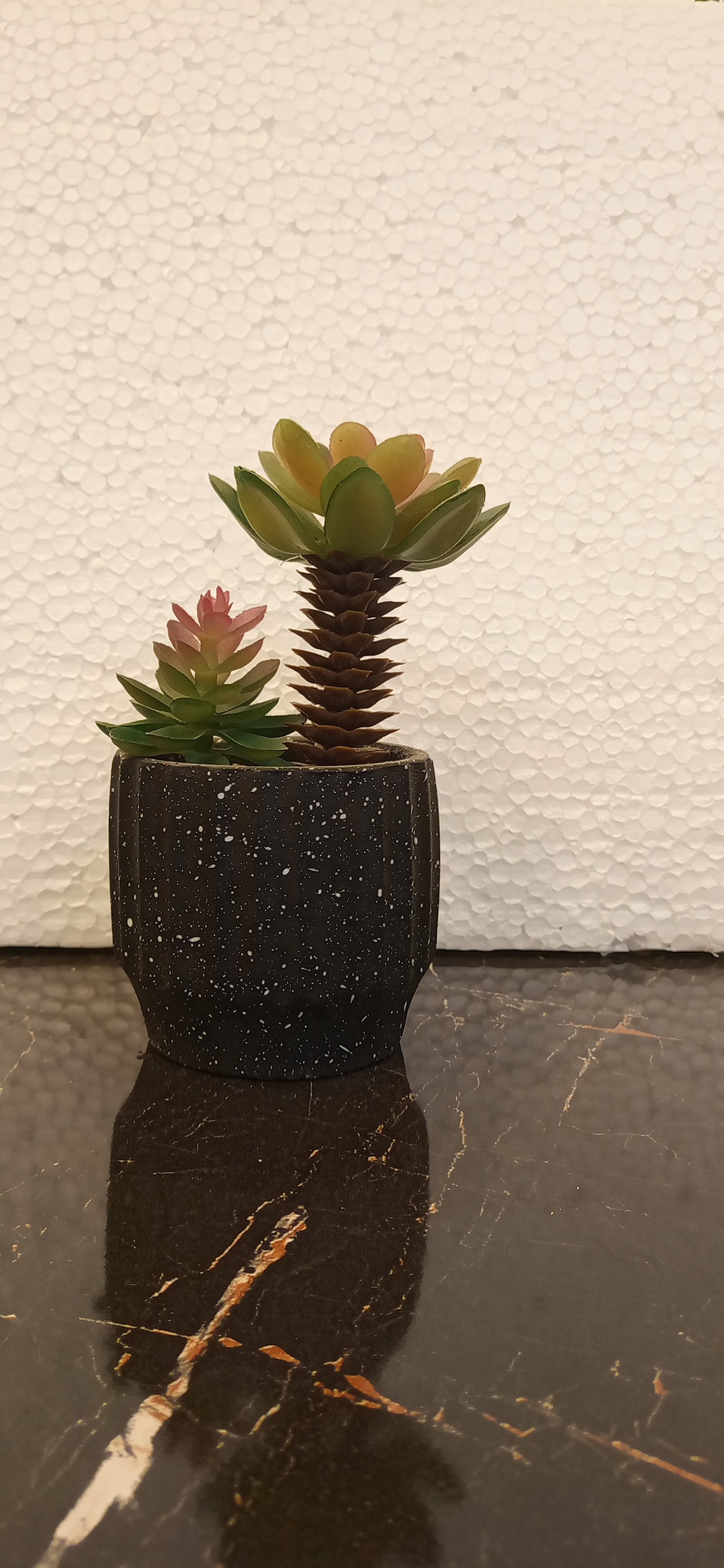Imported Realistic Cactus Plant – Perfect Accent for Home & Office Spaces