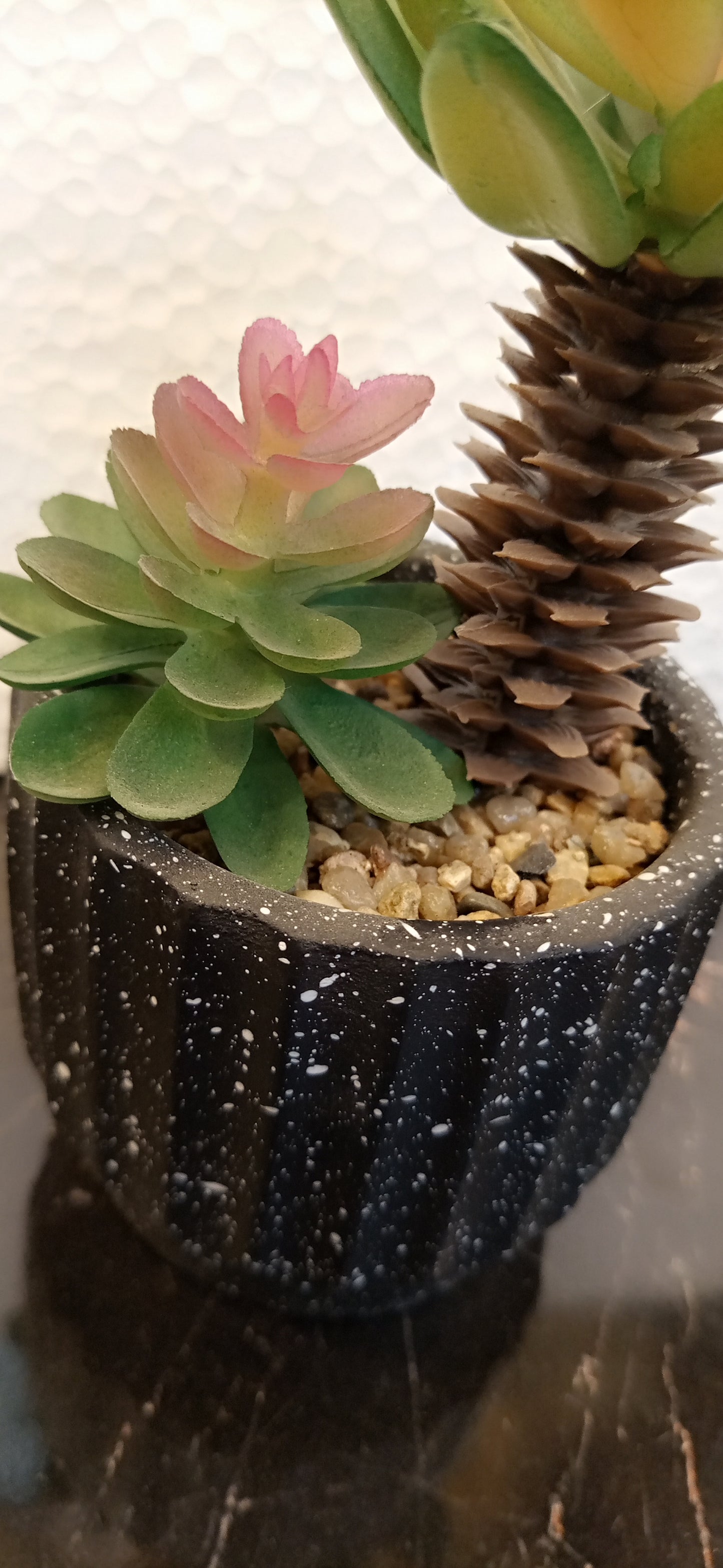 Imported Realistic Cactus Plant – Perfect Accent for Home & Office Spaces